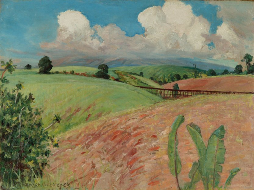 Champs de canne à sucre, Grande Île - D. Howard Hitchcock