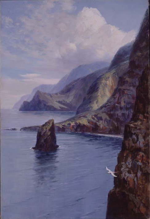 Falaises de Molokai, Hawaï - D. Howard Hitchcock