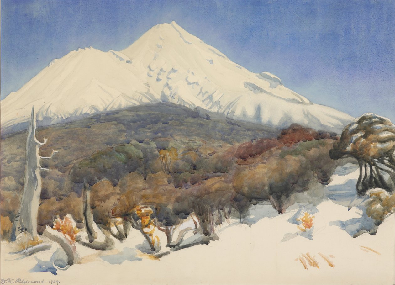 Mont Egmont - D. K. Richmond