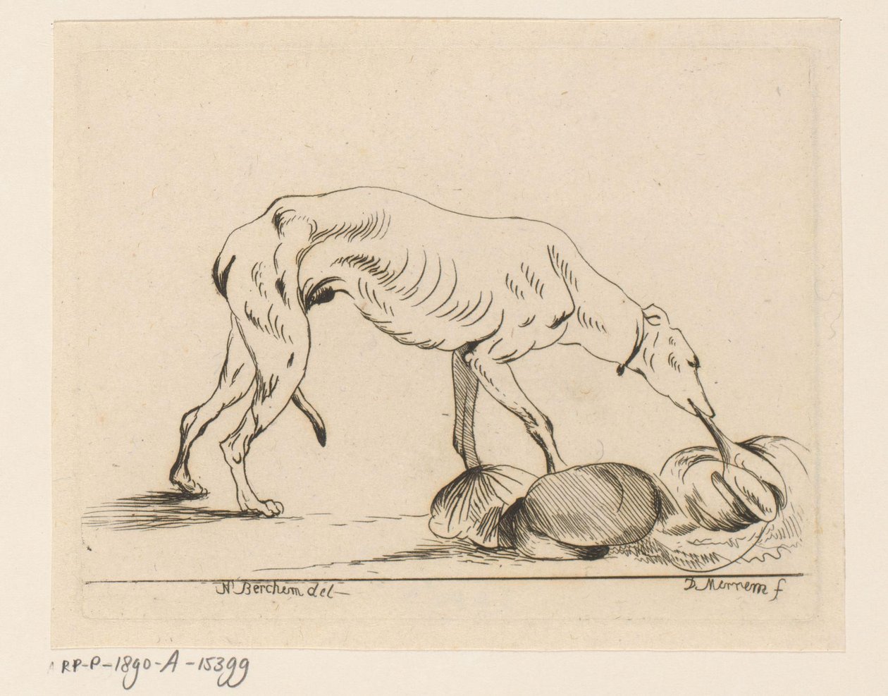 Chien mangeant - D. Merrem