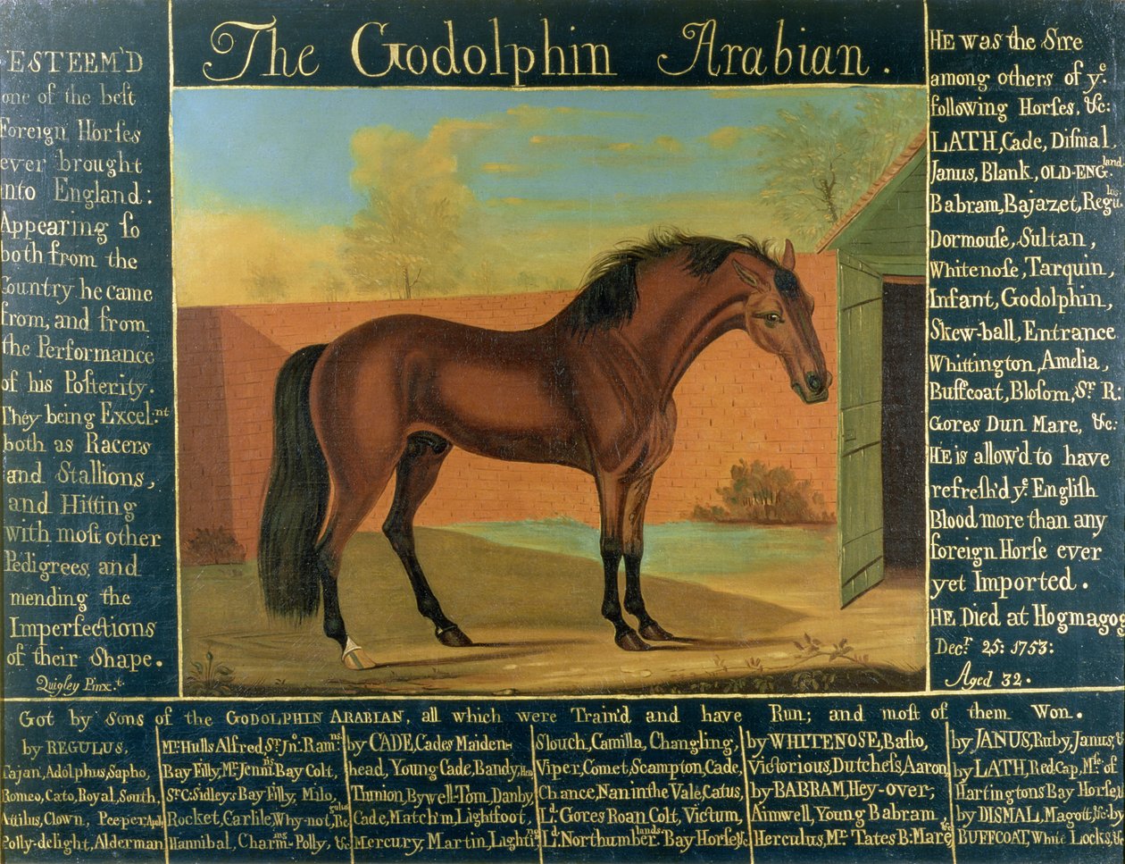 Le Godolphin Arabian - Daniel Quigley