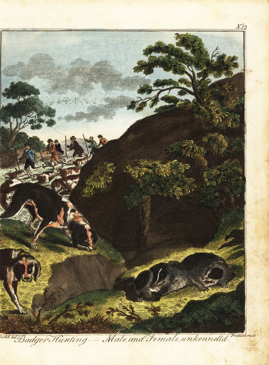 Hommes armés chassant des blaireaux, Angleterre - Daniel (after) Dodd
