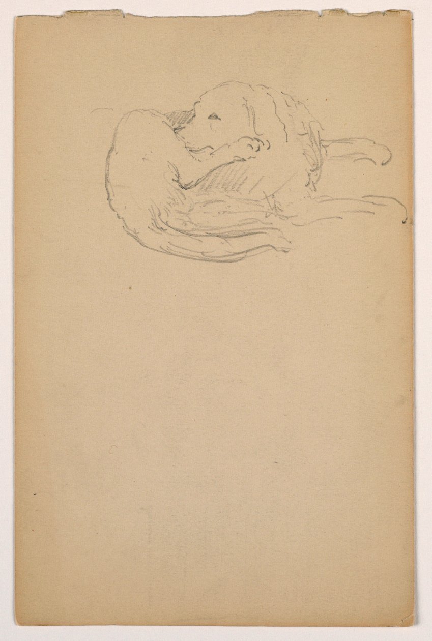 Dessin, Dash (un Setter), vers 1862 - Daniel Huntington