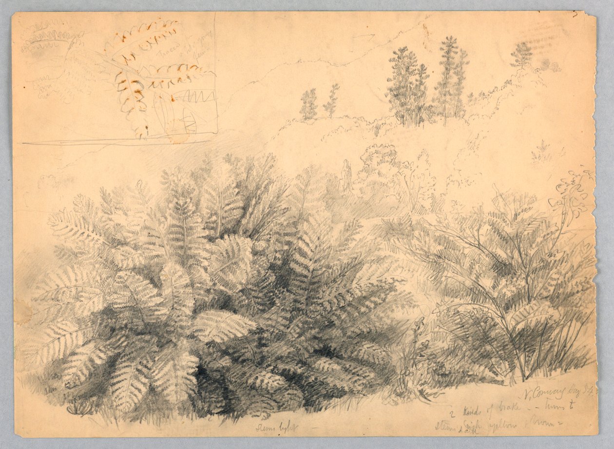 Fougères, North Conway, New Hampshire - Daniel Huntington