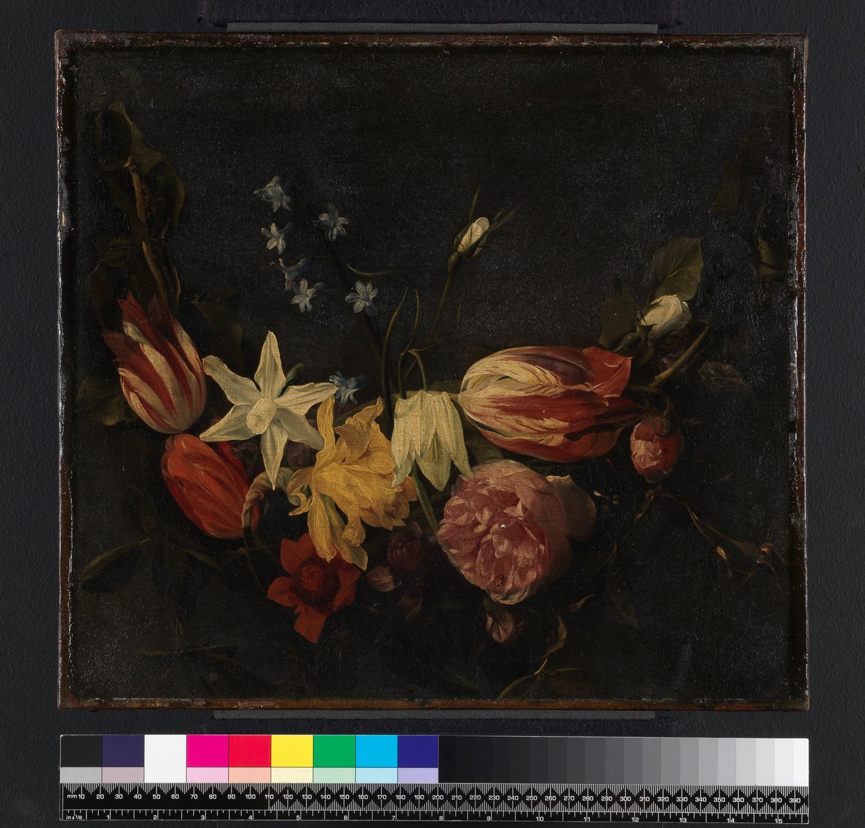 Guirlande de fleurs, avant 1661 - Daniel Seghers