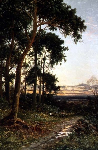 Le chemin forestier - Daniel Sherrin
