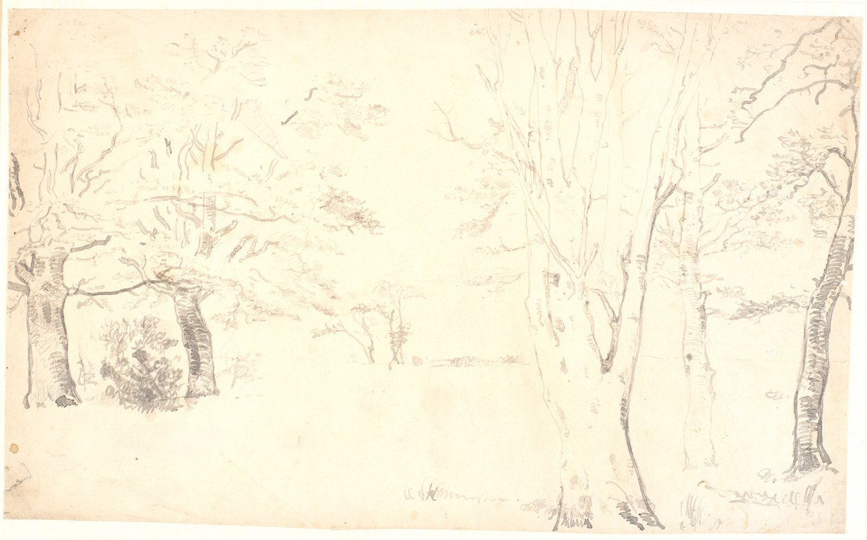 Paysage avec arbres dispersés - Dankvart Dreyer