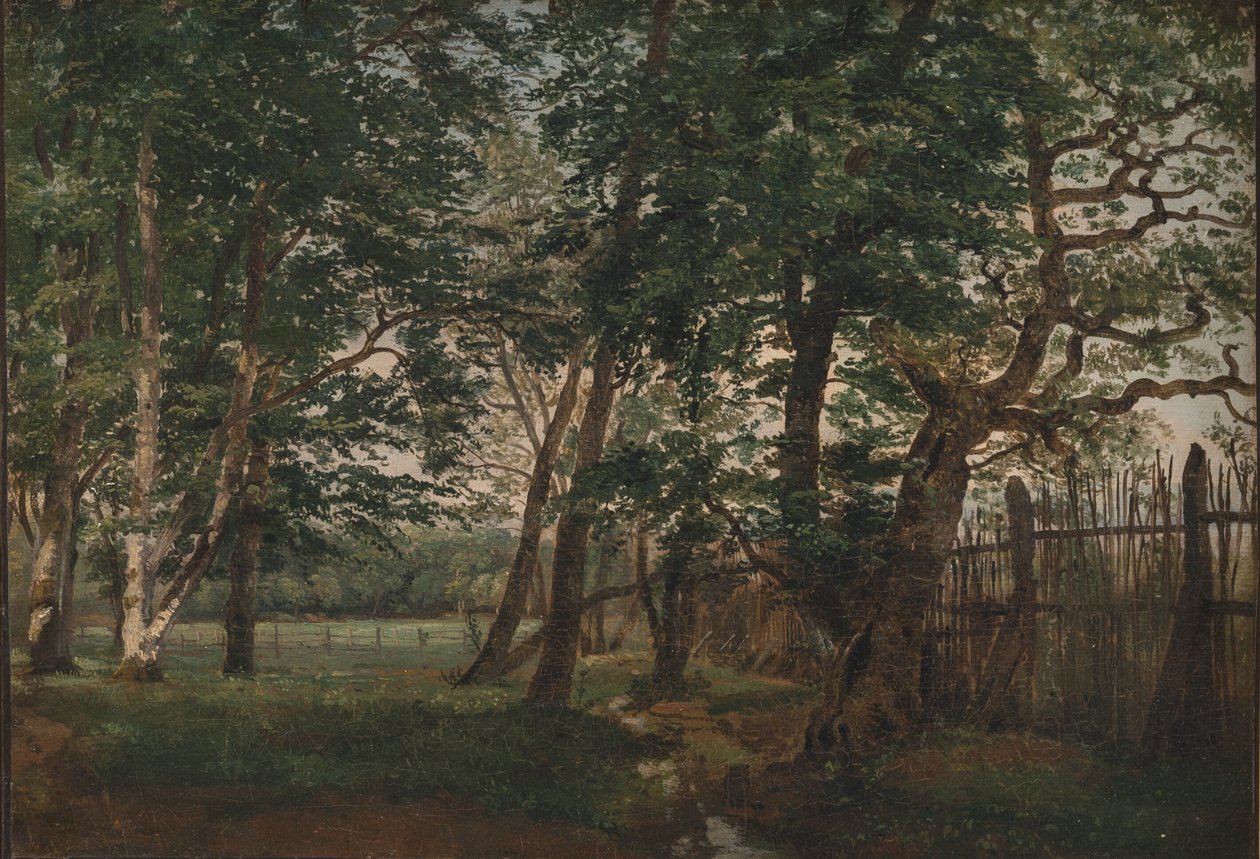 Le parc aux cerfs au nord de Copenhague - Dankvart Dreyer