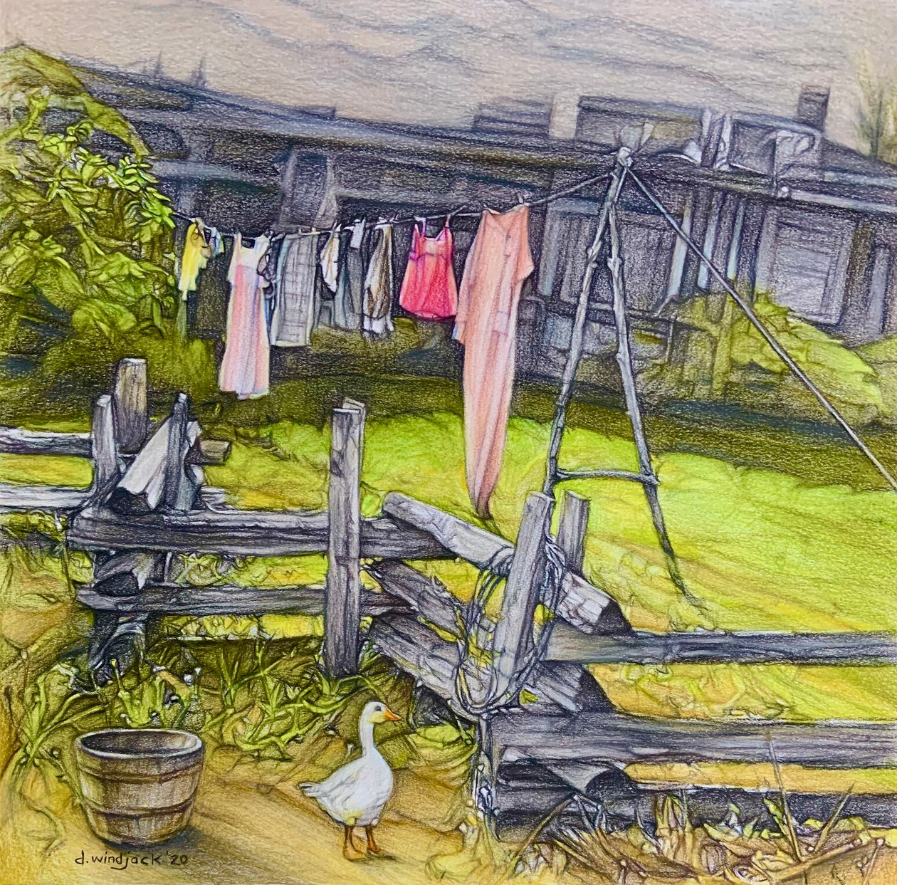 La corde à linge - Darrell Windjack