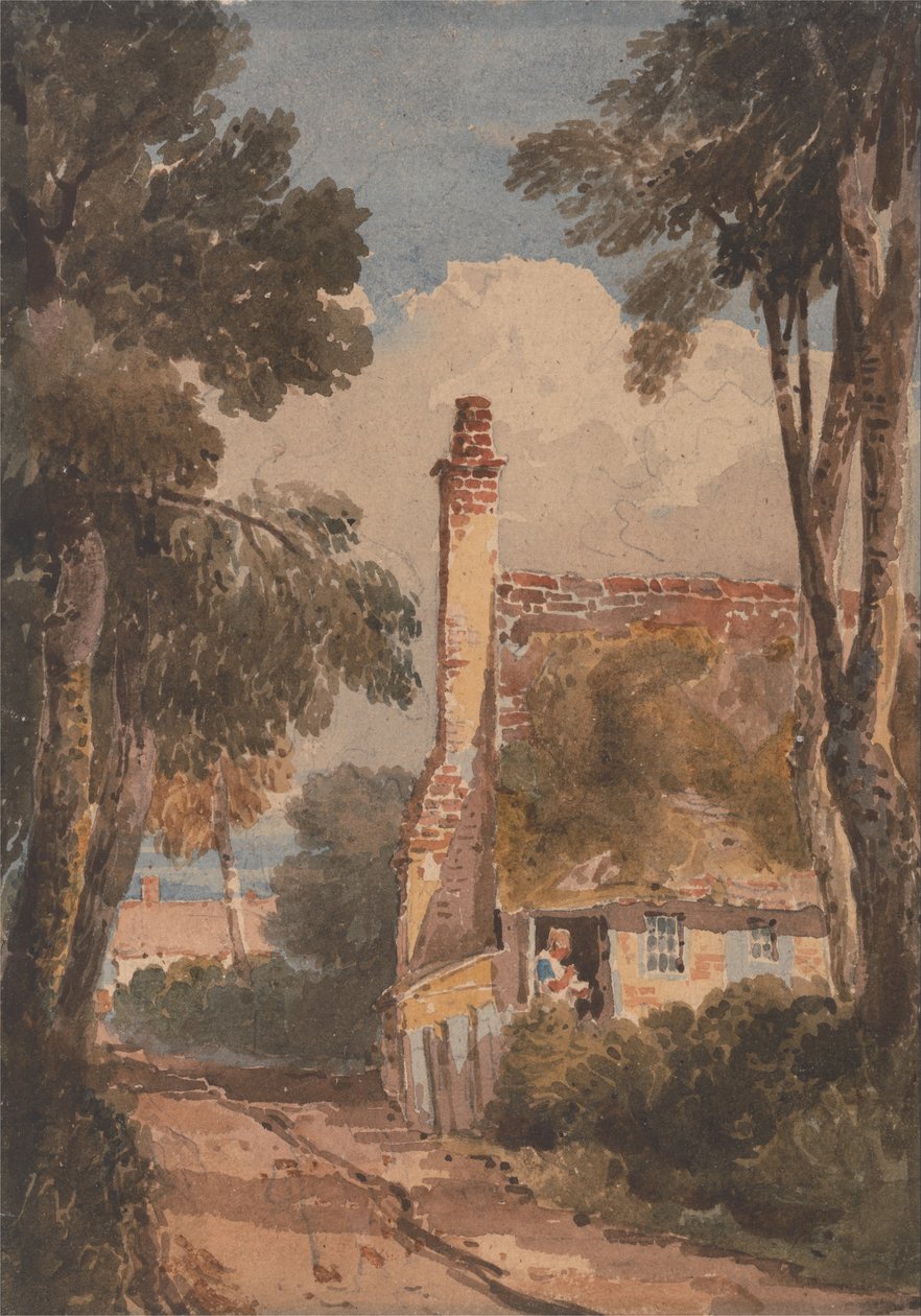 Harborne - David Cox