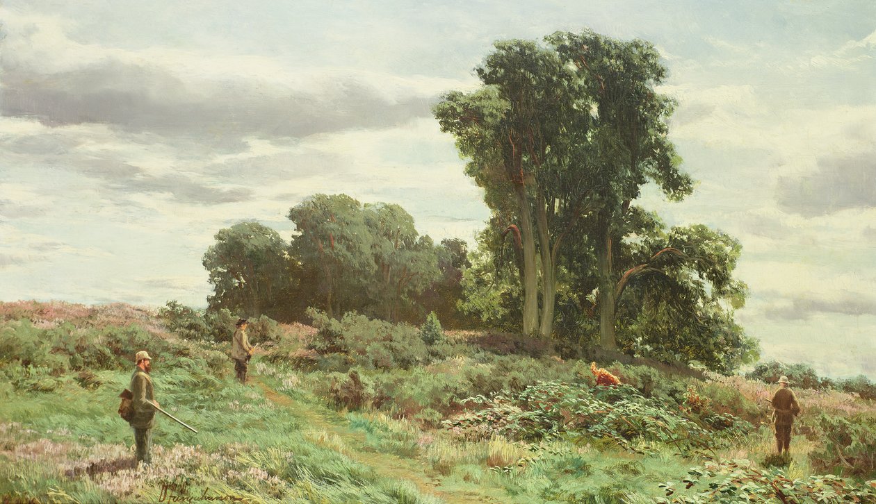 La forêt de Meiklour, Perthshire - David Farquharson