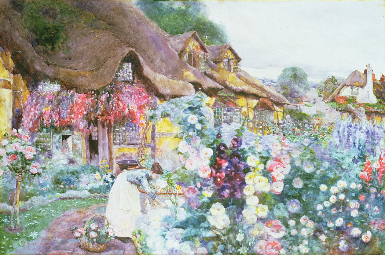 Le Jardin de la Chaumière - David Woodlock