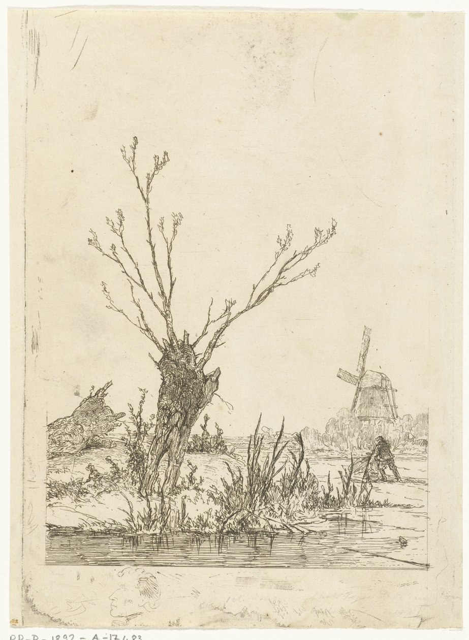 Paysage d