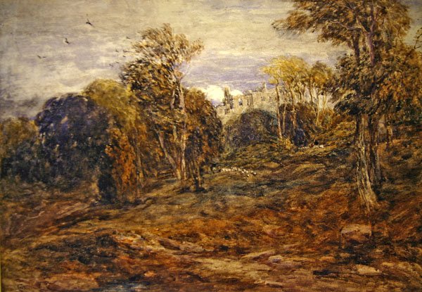 Tour de Barden - David Cox