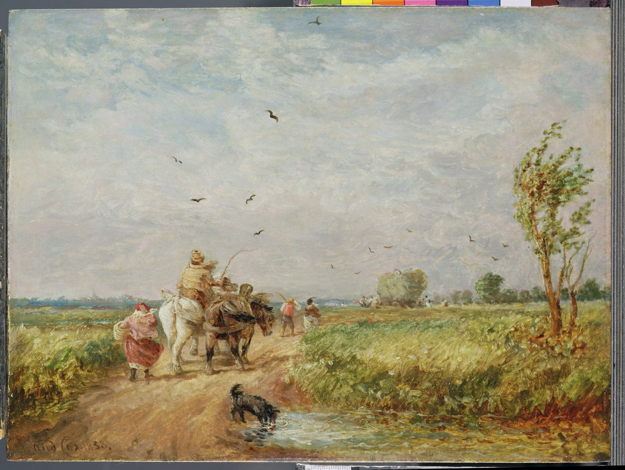 Aller au champ de foin - David Cox