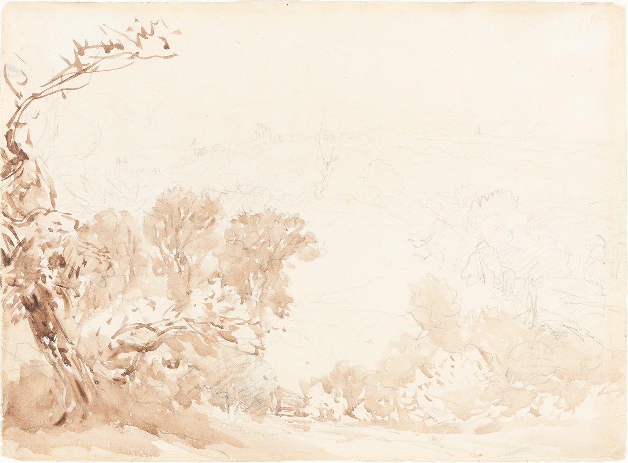 Colline et Arbres - David Cox