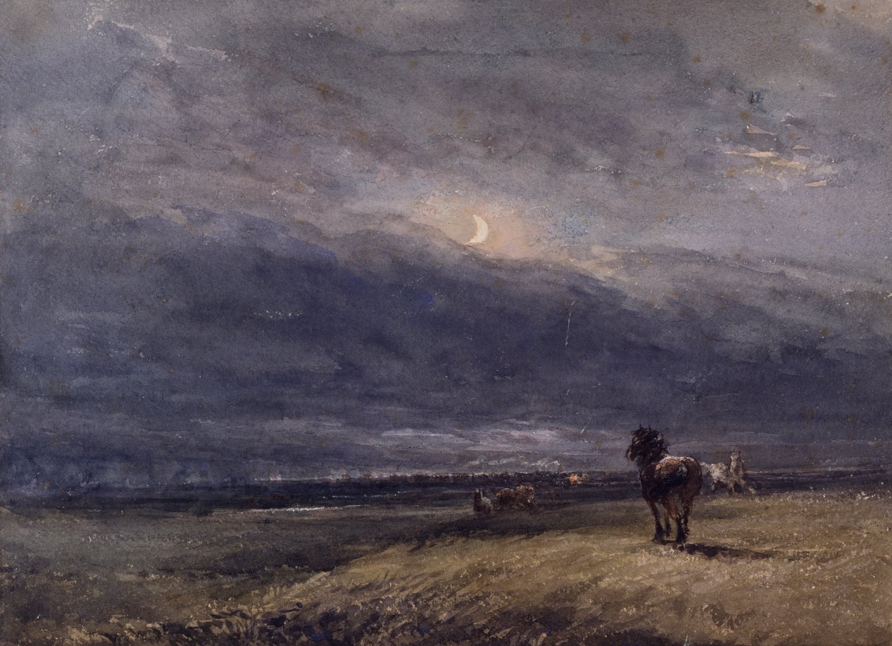 Le Train de nuit - David Cox