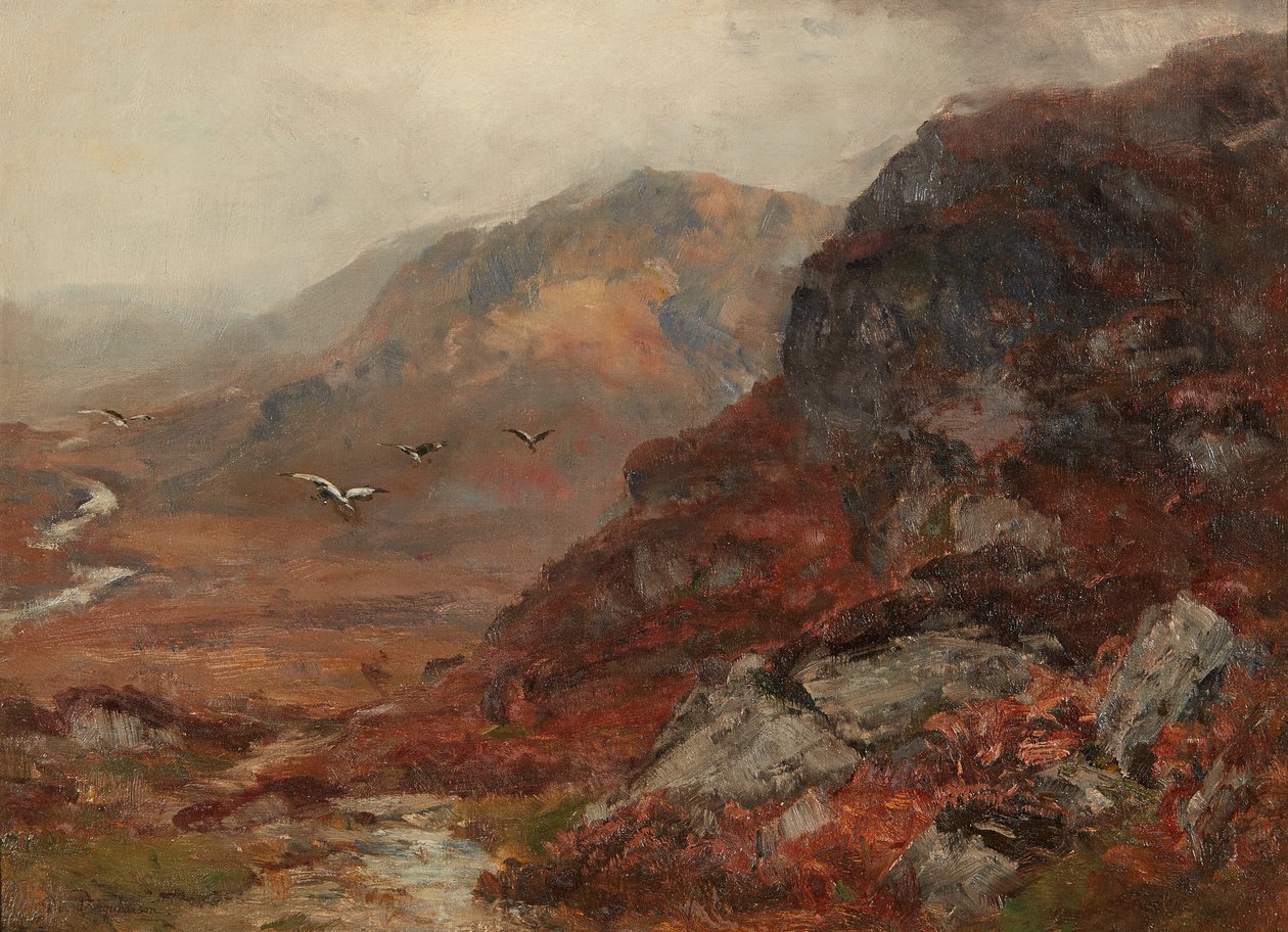 Collines des Highlands - David Farquharson