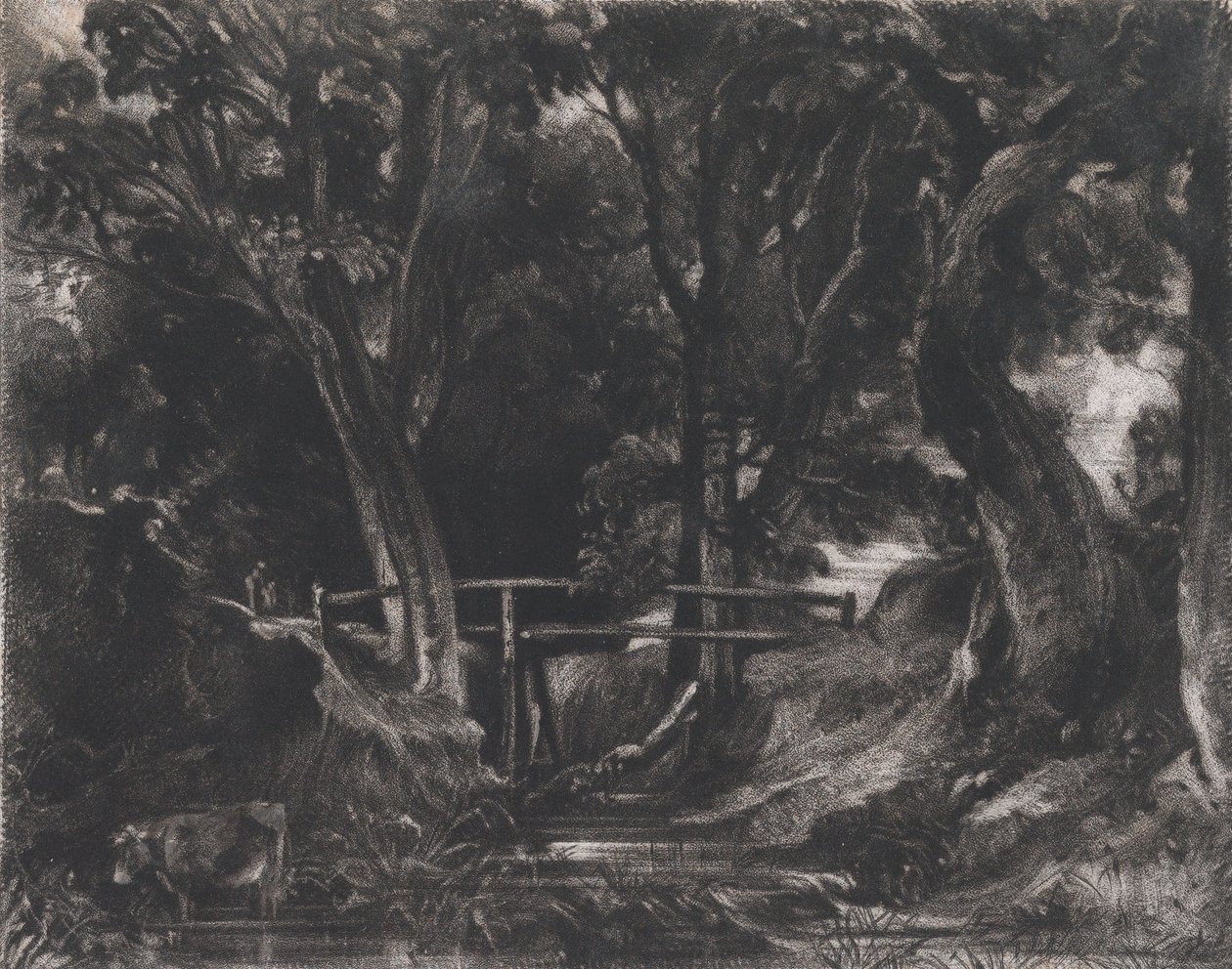 Un vallon, Helmingham Park, Suffolk, 1830 - David Lucas