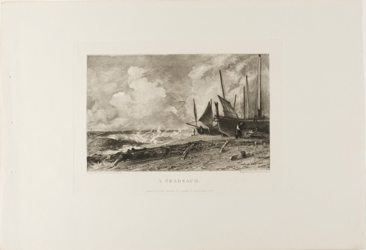 Une plage - David Lucas