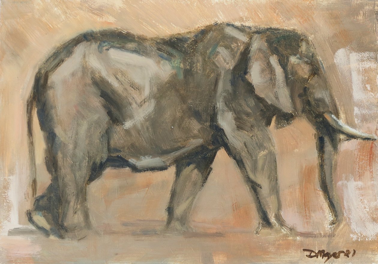 Éléphant mâle - David Mayer