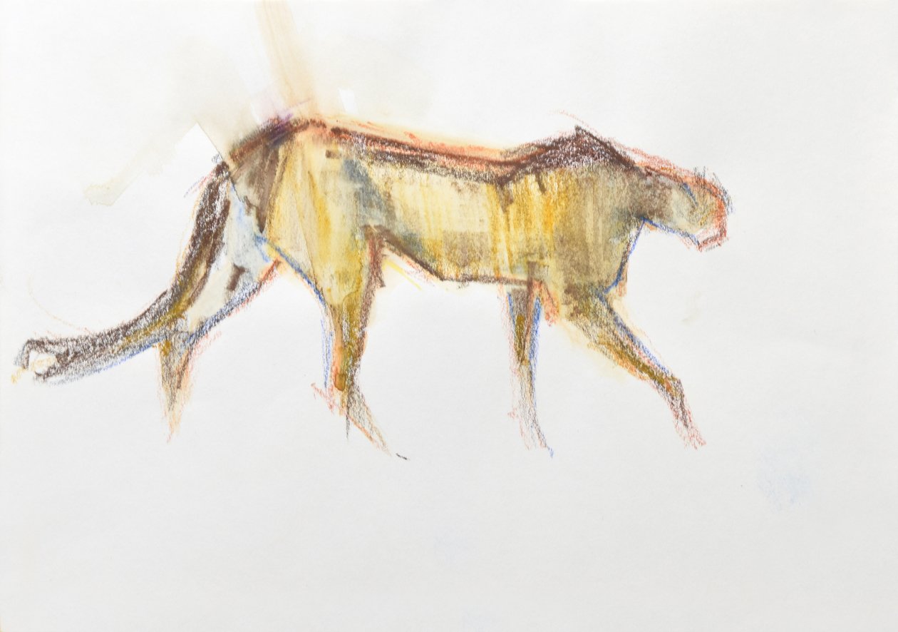Guépard, 2020 - David Mayer
