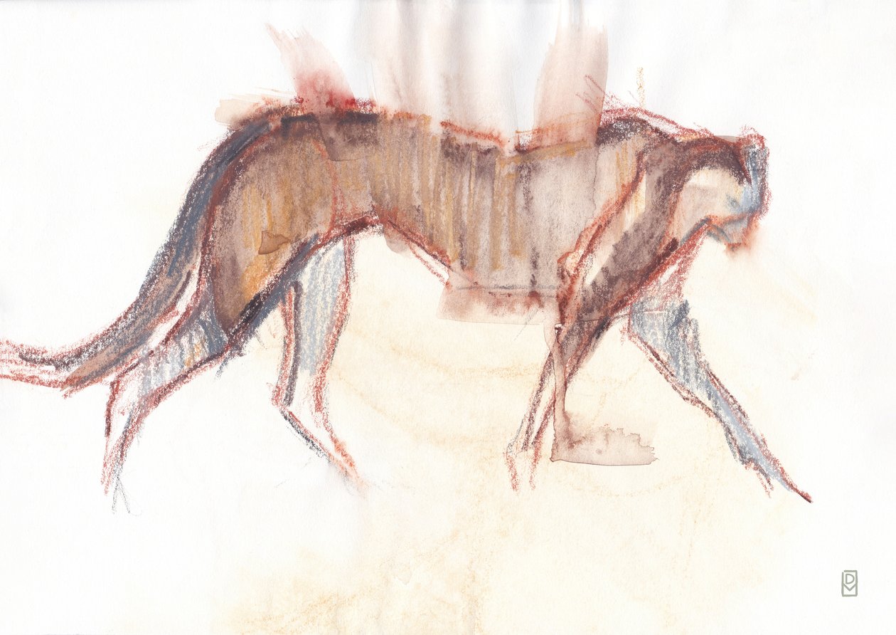 Chasse du guépard, 2019 - David Mayer
