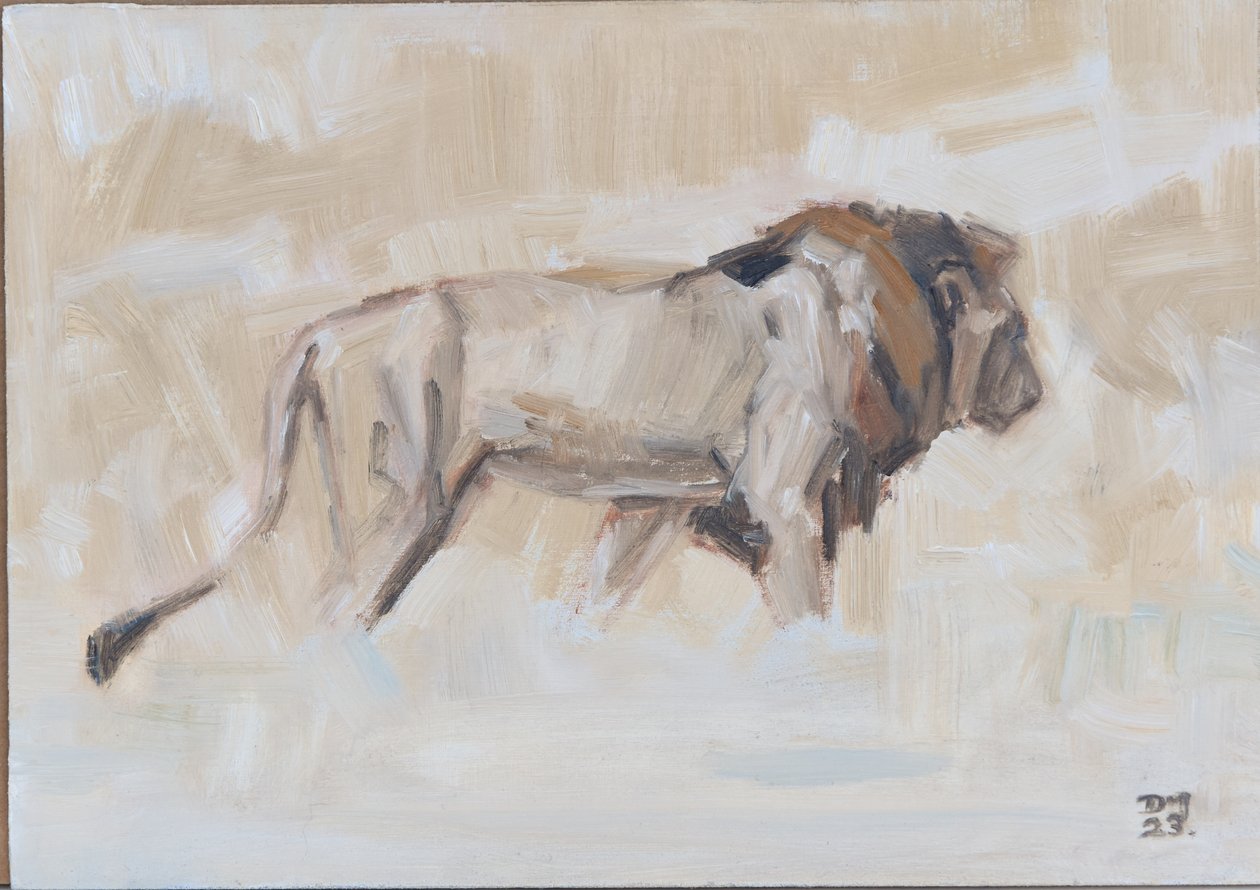 Lion Mâle, 2021 - David Mayer