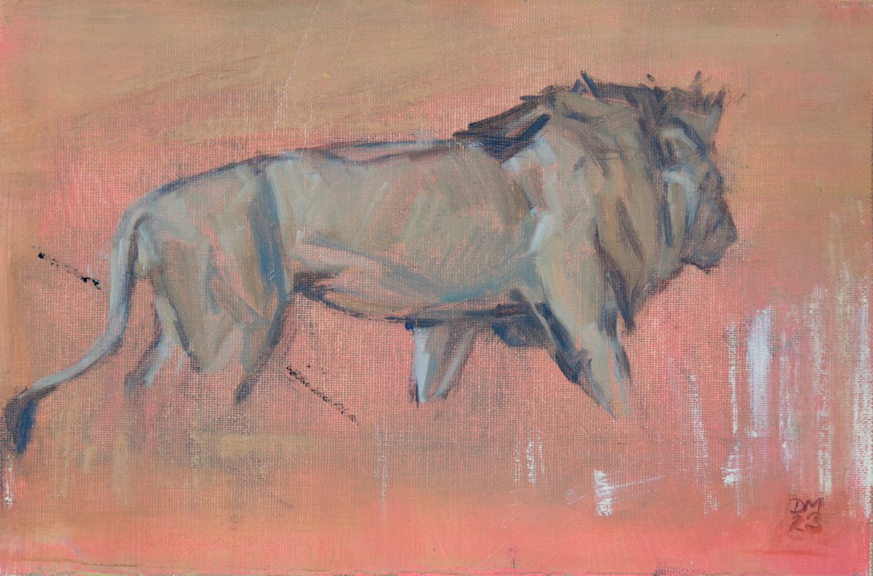 Lion mâle 2021 - David Mayer