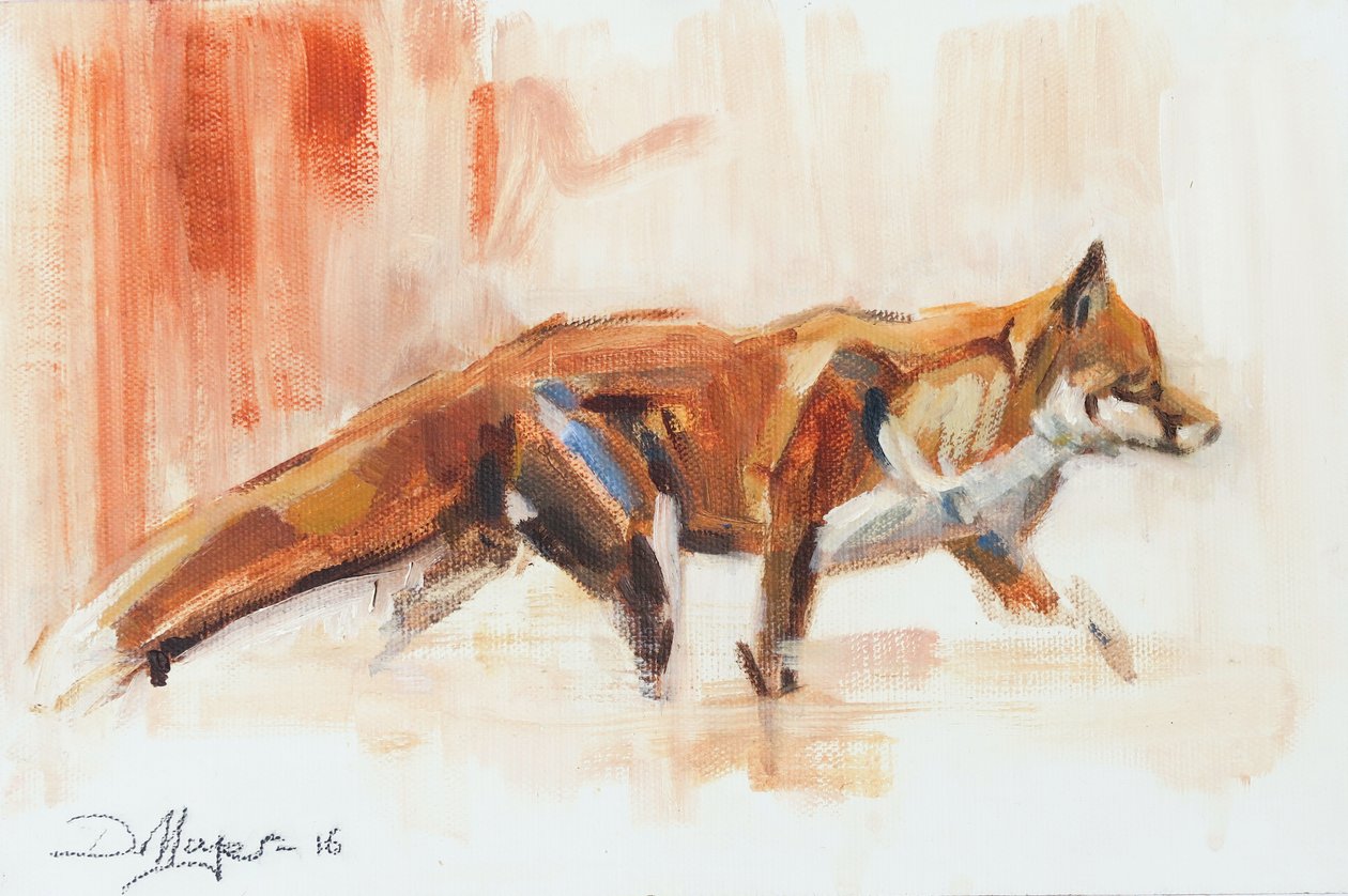 Renard roux, 2015 - David Mayer