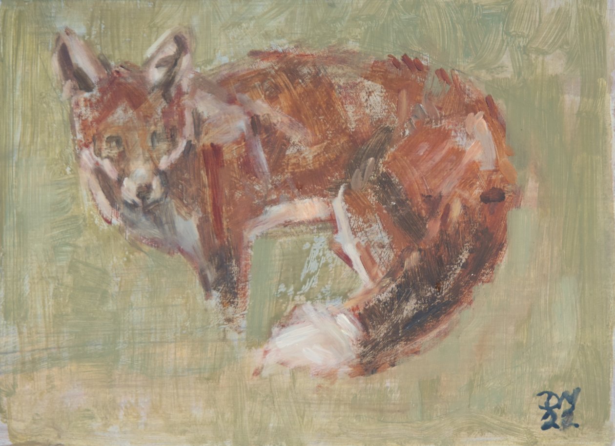 Renard roux, 2022 - David Mayer