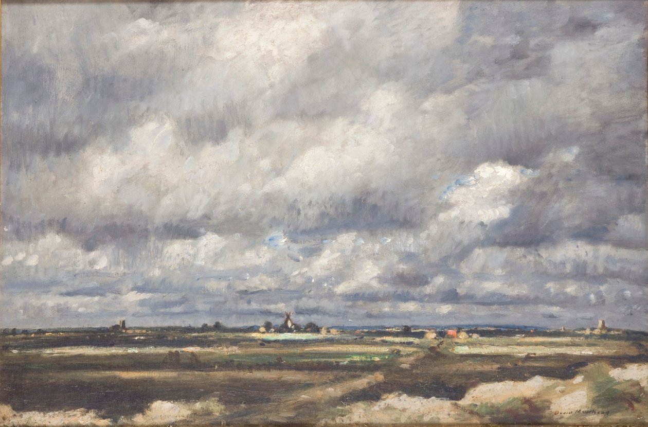 Tempête sur une vaste campagne, 1887-1930 - David Muirhead