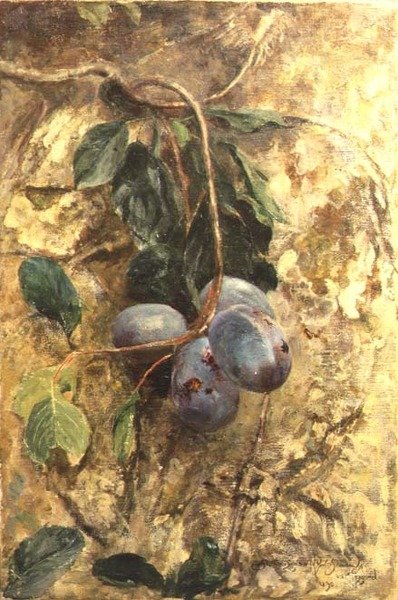 Prunes - David Murray