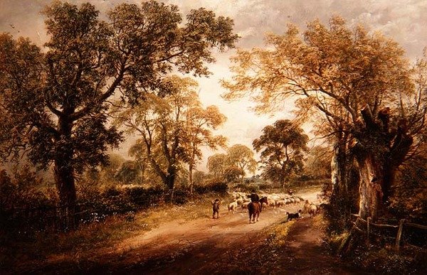 Garder les moutons - David Payne