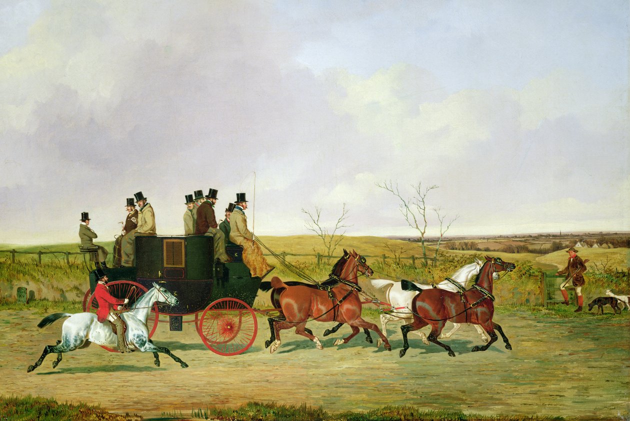 Cheval et Carrosse - David of York Dalby