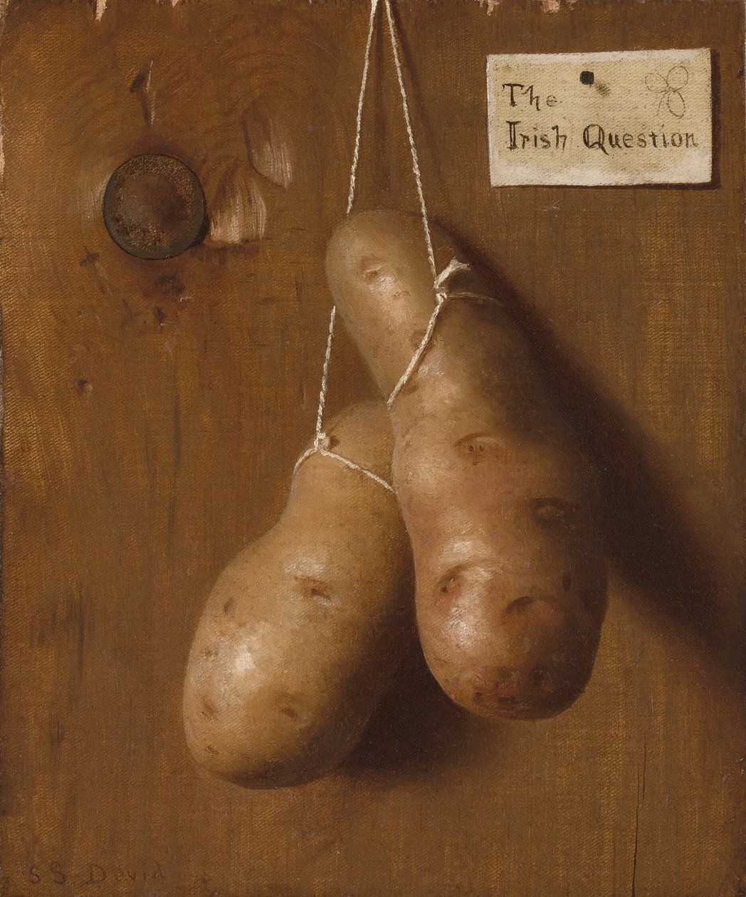 La question irlandaise - De Scott Evans