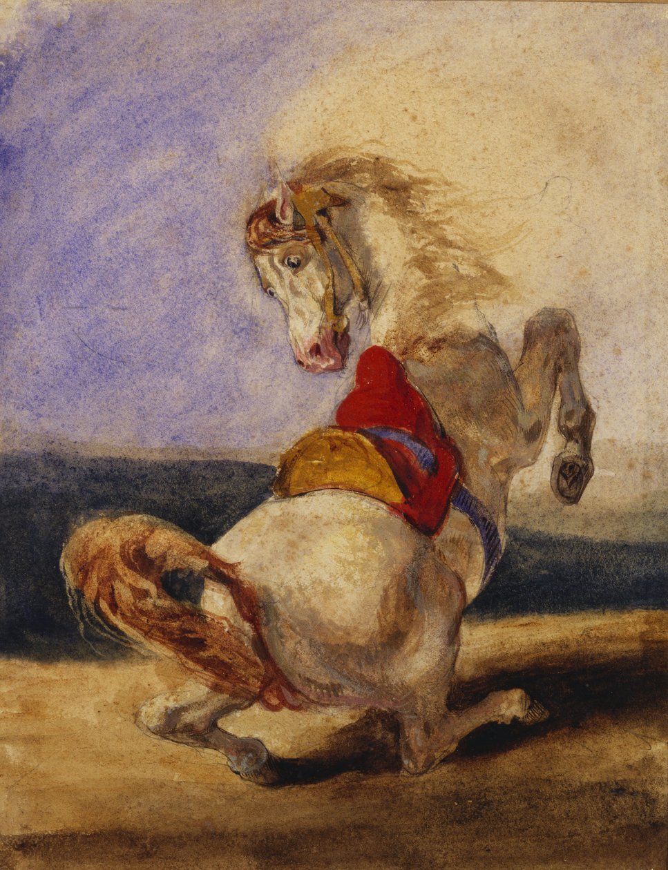 Cheval cabré - Delacroix
