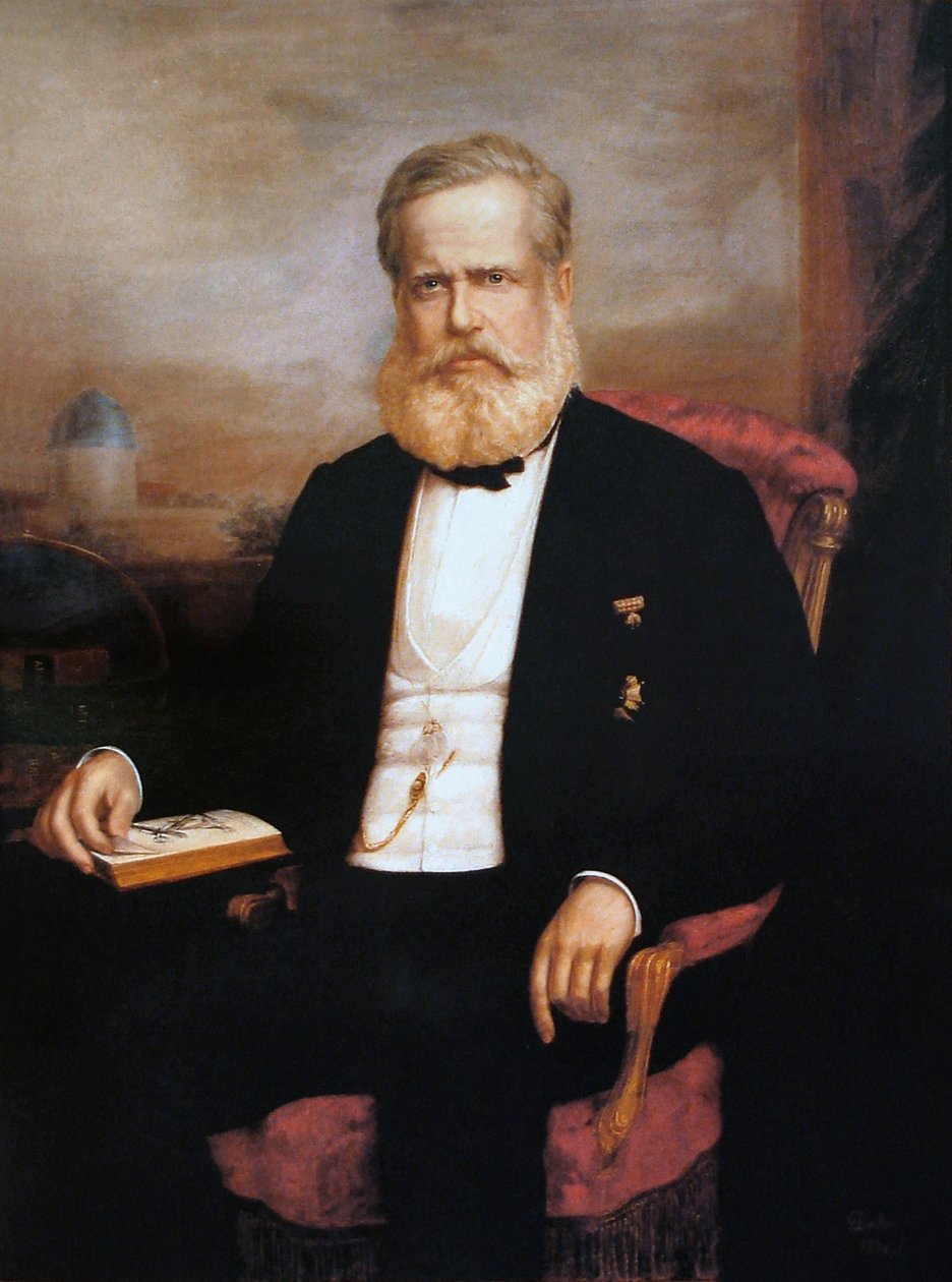Portrait de Dom Pedro II - Delfim da Camara