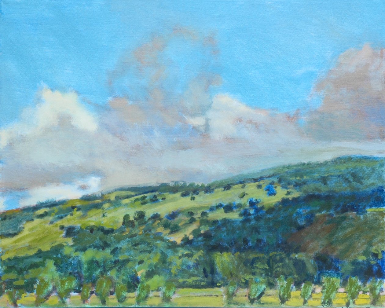 Collines de Californie, 2006 - Diana Jahns