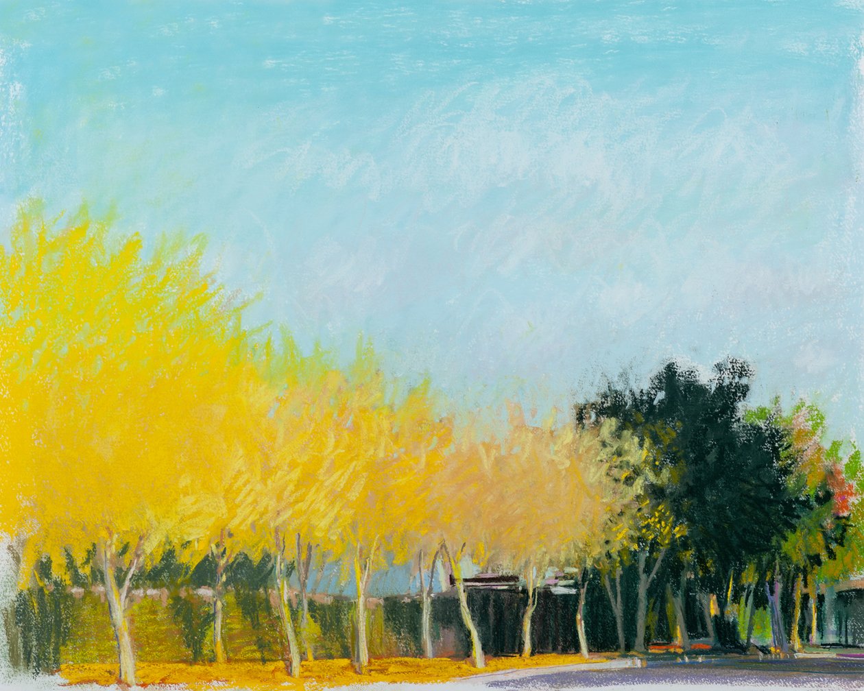 Côté ensoleillé, 2015 - Diana Jahns