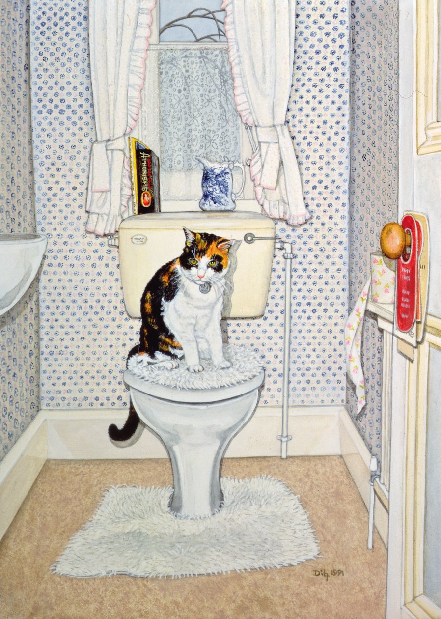Chat sur les toilettes, 1991 - Ditz