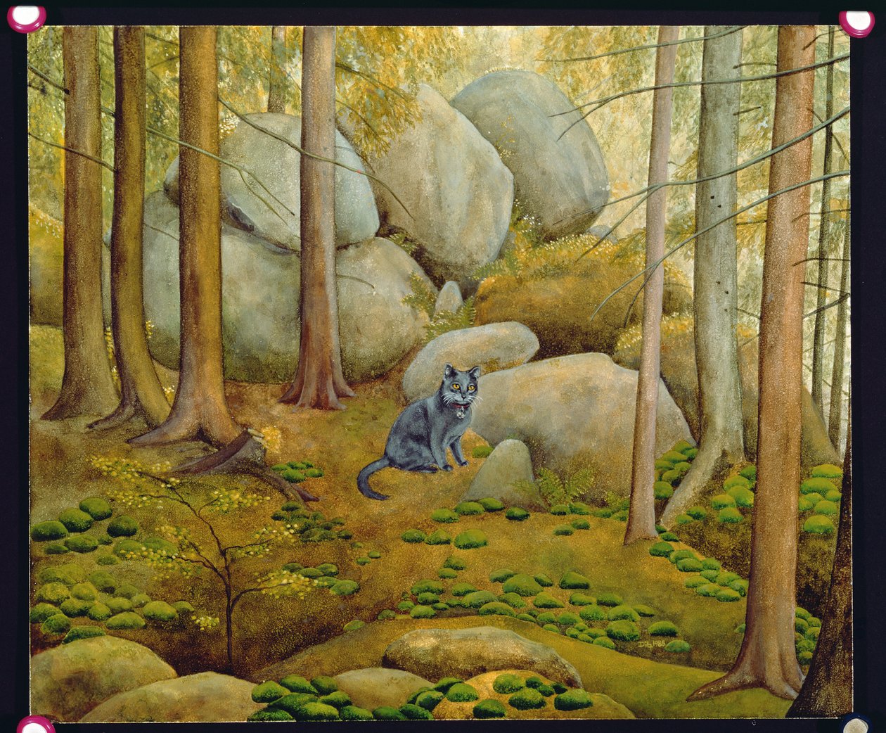 Dans le bois - Ditz