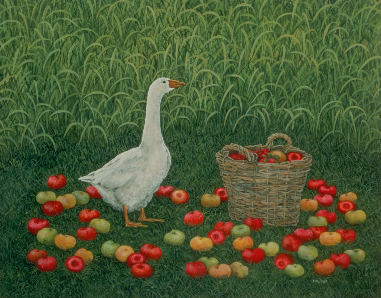 Le Panier de Pommes - Ditz