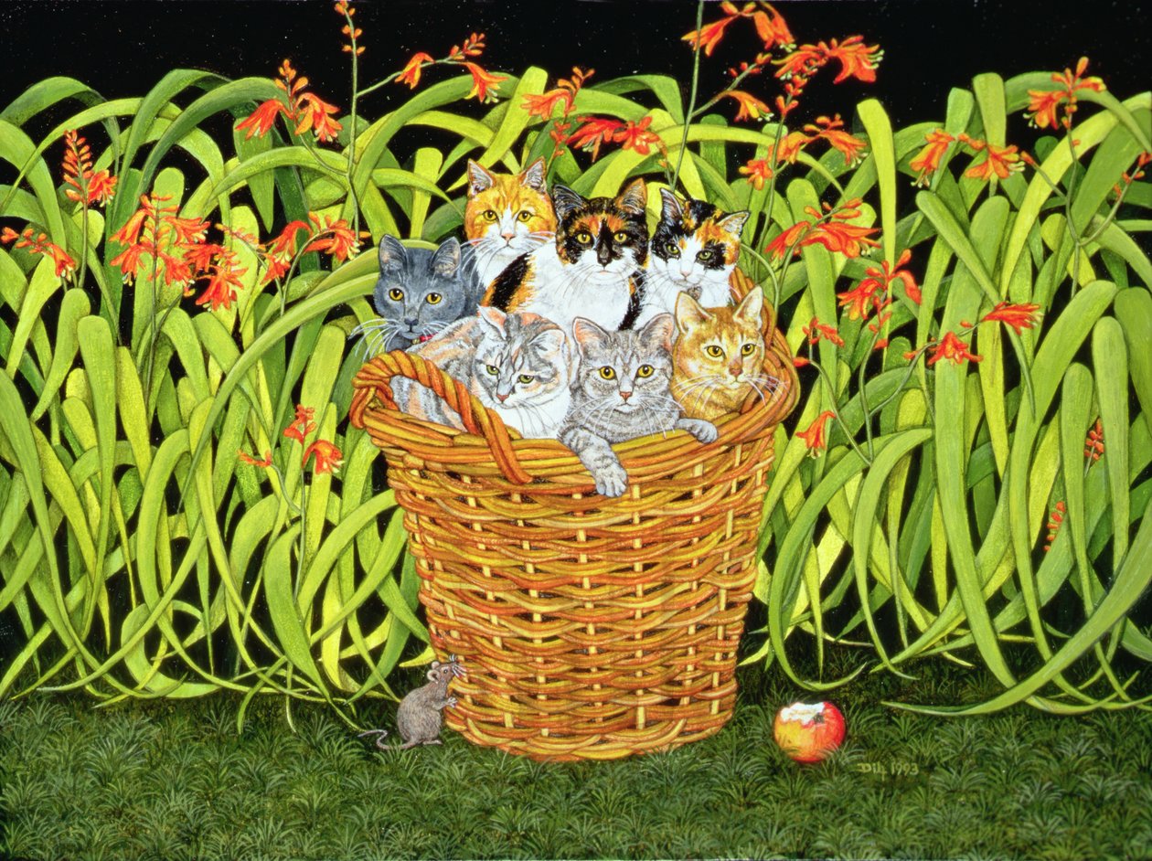 La Souris-Montbretia - Ditz Ditz