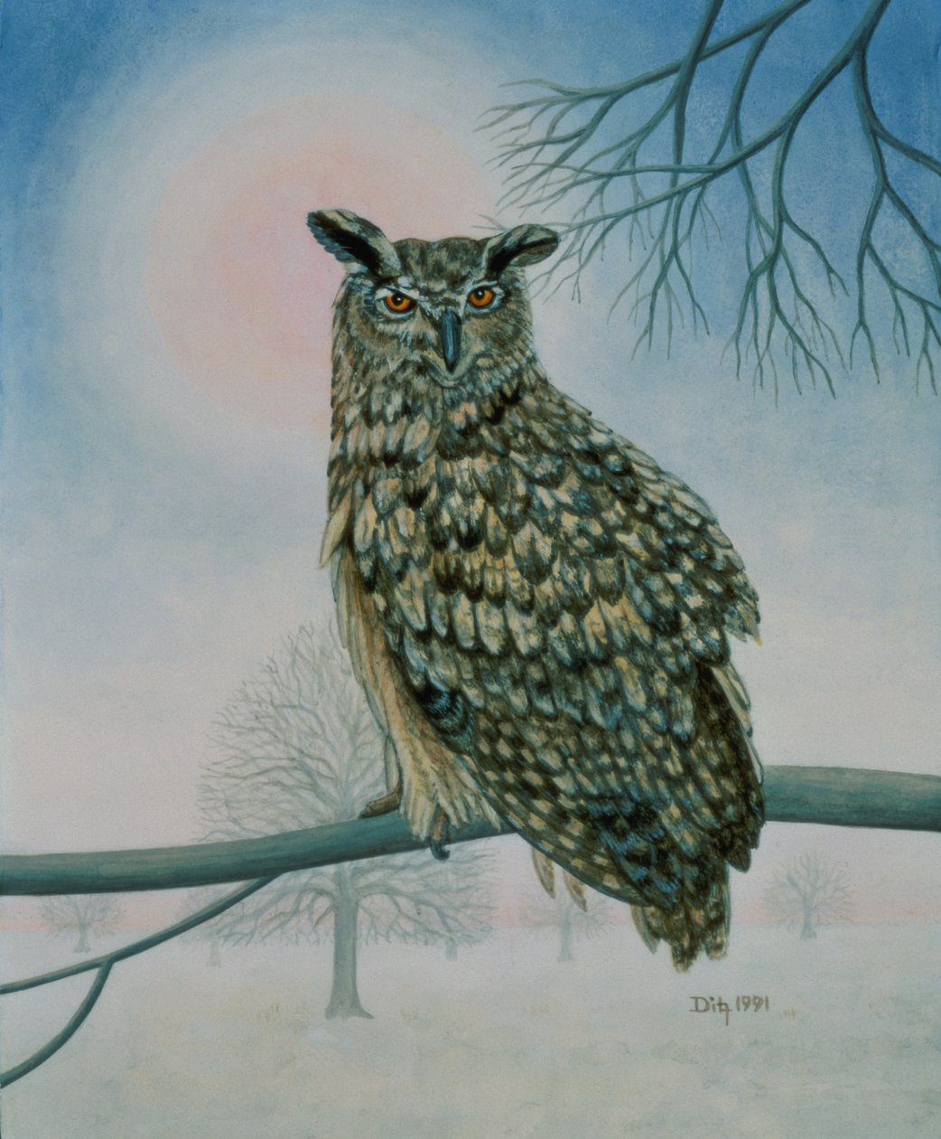Hibou d