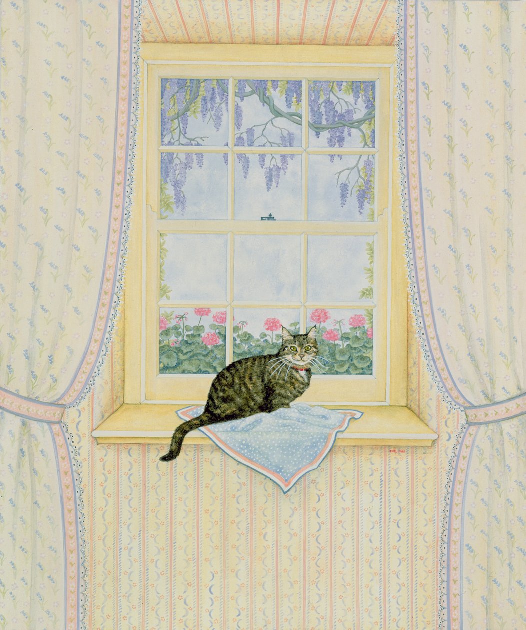 Chat de glycine - Ditz