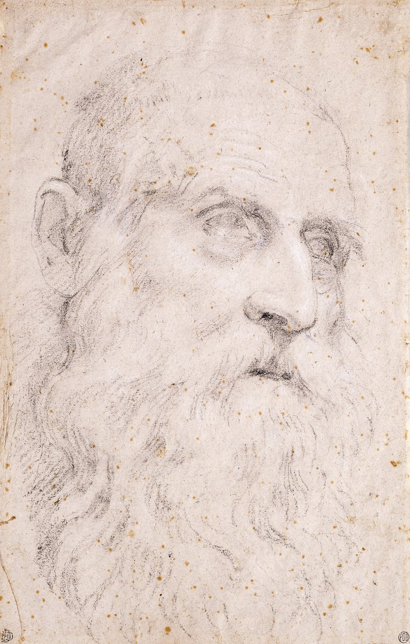 La Tête de Saint Jérôme - Domenichino