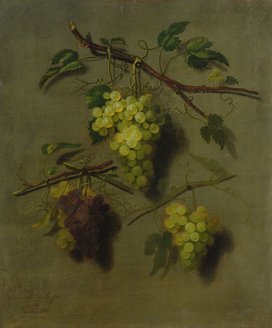 Nature morte, 1738 - Dominicus Van der Smissen