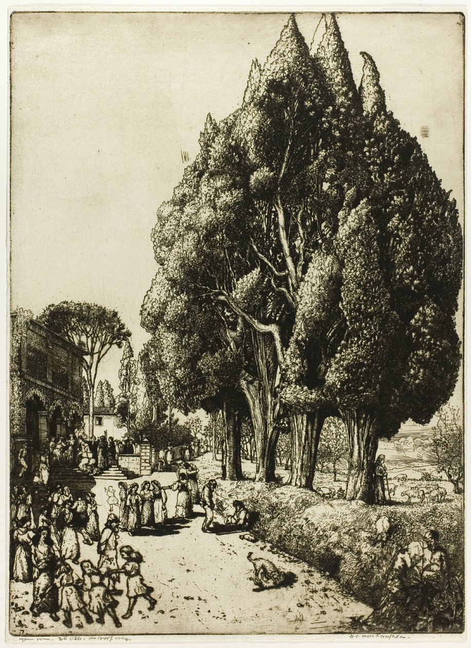 Bosquet de cyprès - Donald Shaw MacLaughlan