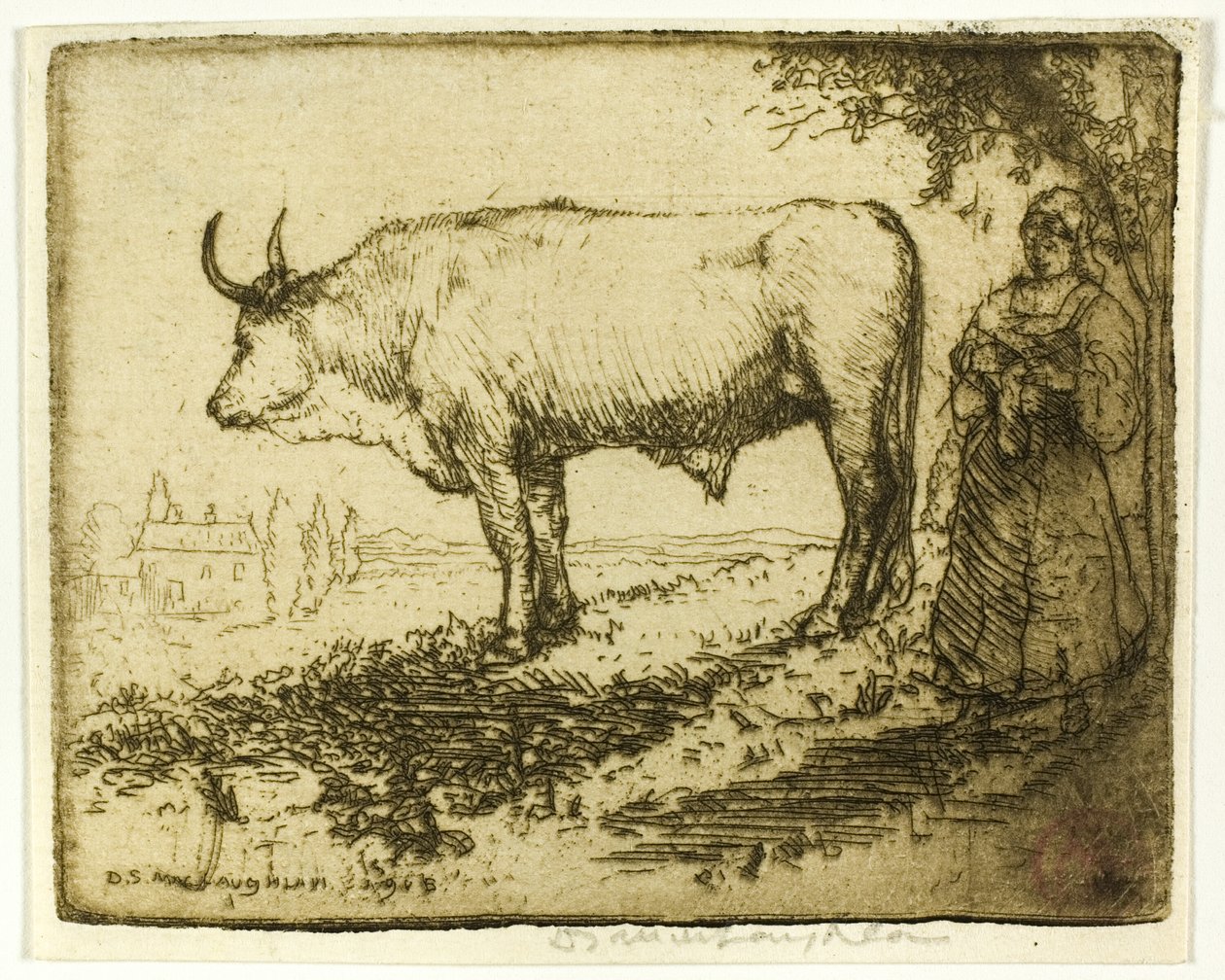 Le bœuf blanc - Donald Shaw MacLaughlan